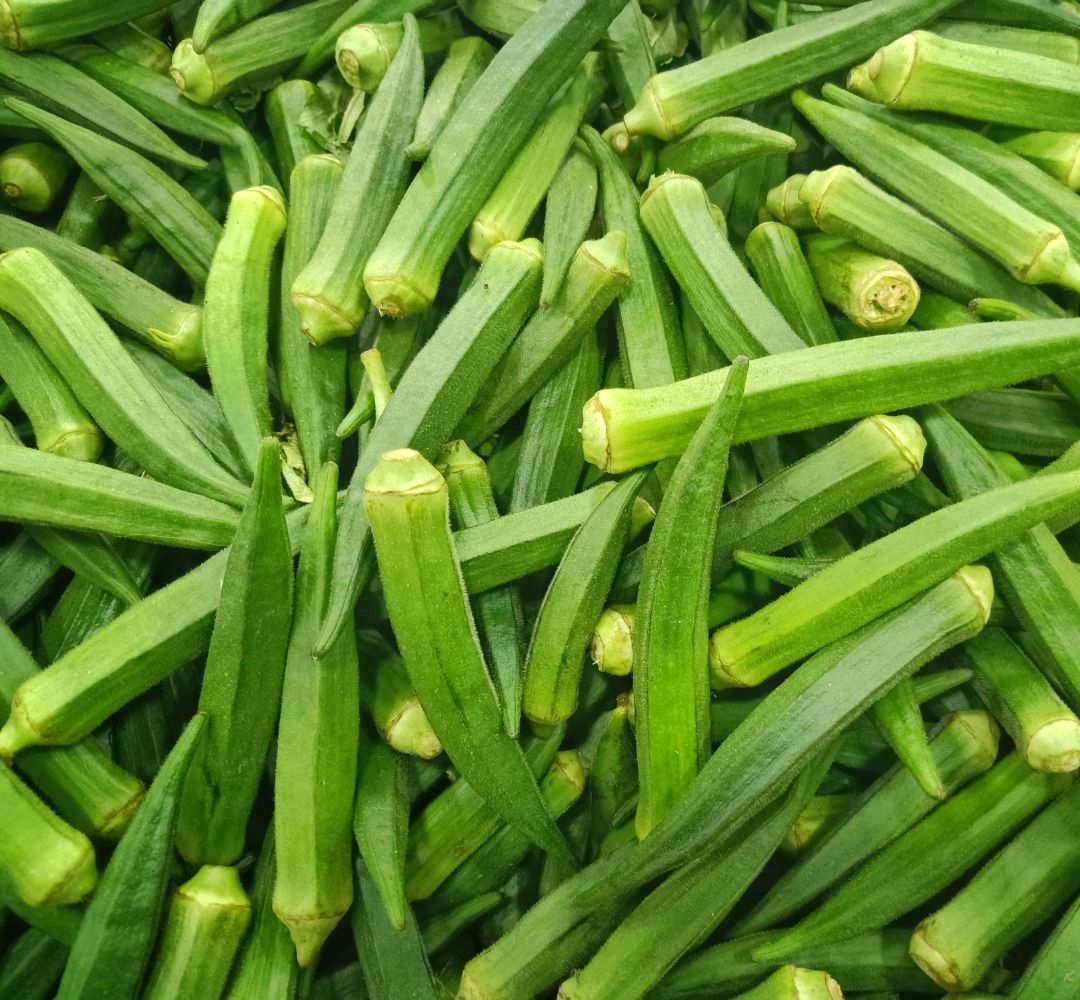 How to grow Okra from seed at home?