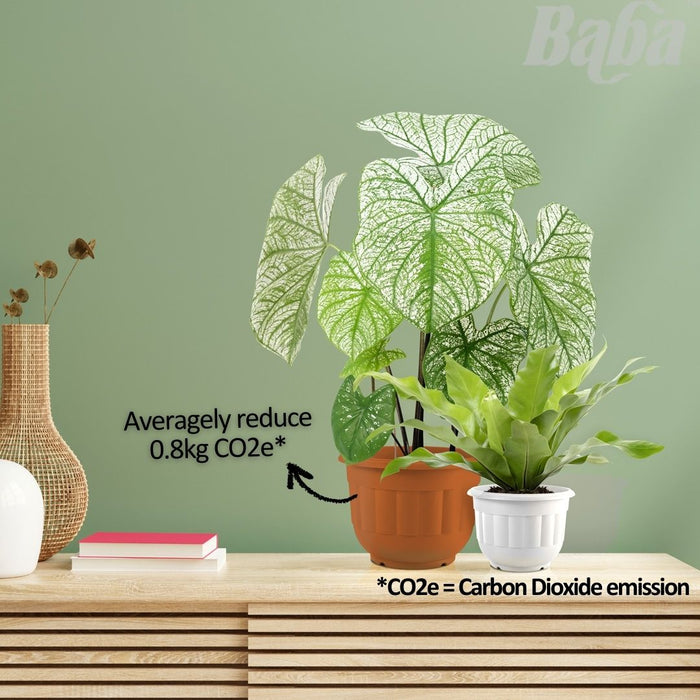 Baba Round Pot Series Biodegradable Flower Pot【BI-2013/ BI-2015/ BI-2016】