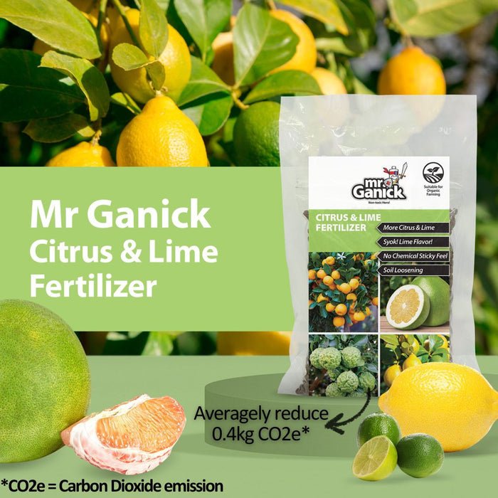Mr Ganick Citrus & Lime Fertilizer (400gm)