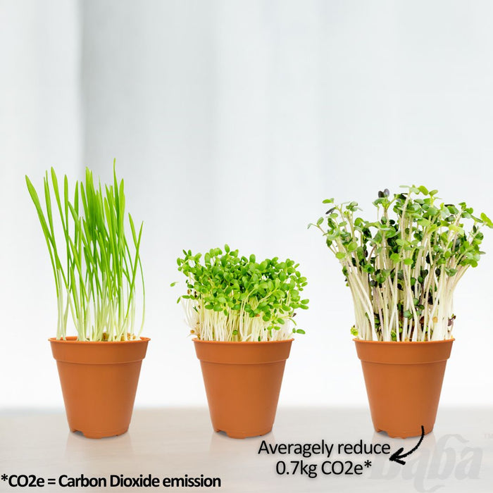 Baba Seedling Pot