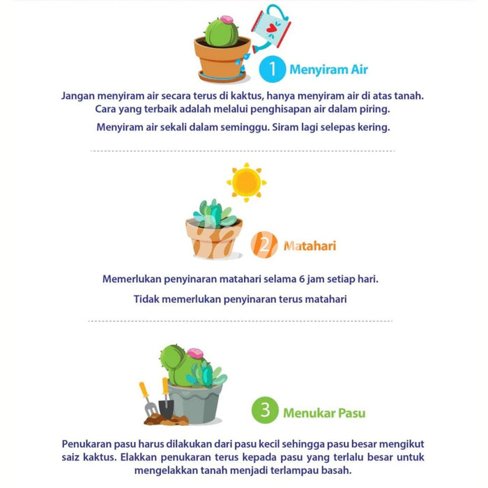 Baba Cacti & Succulent Potting Mix (7L)