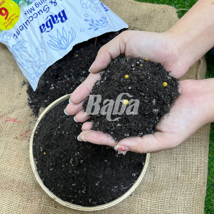 Baba Cacti & Succulent Potting Mix (7L)