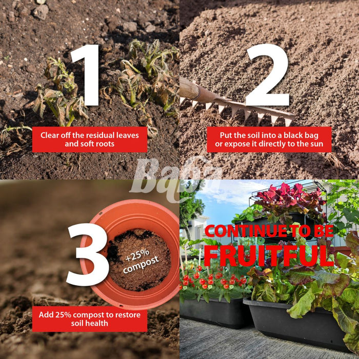 Baba Compost-Based Fertilizer (7L)