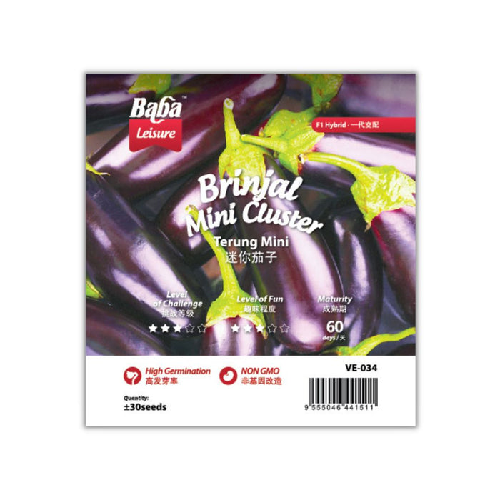 Baba Smart Grow Seed: VE-034 F1 Brinjal Mini Cluster