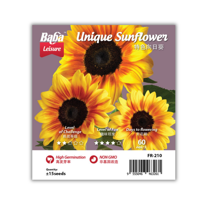 Baba Leisure Seed: FR-210 Unique Sunflower