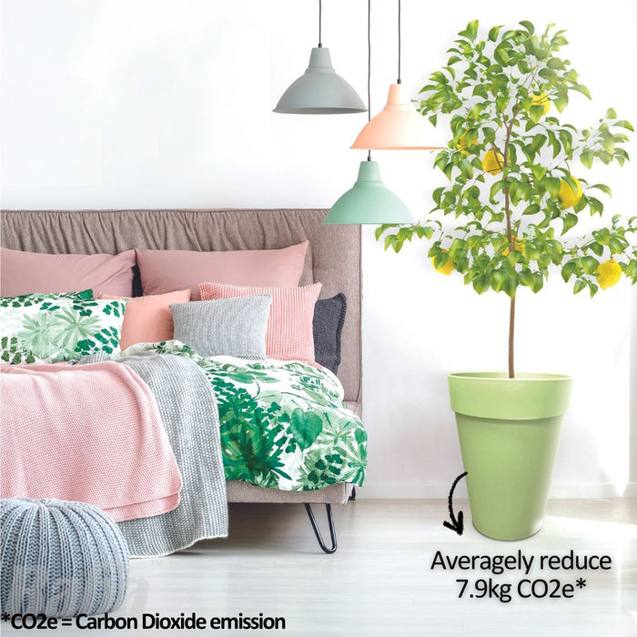 Baba Noble Series Decorative Pot【NB-150/ NB-280/ NB-340】