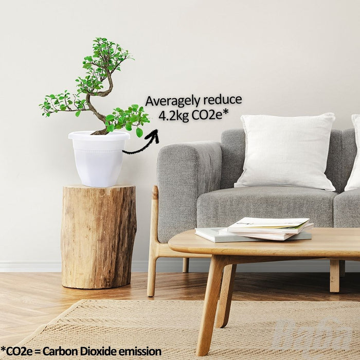 Baba Biodegradable Flower Pot【OT-260/ OT-310/ OT-392】