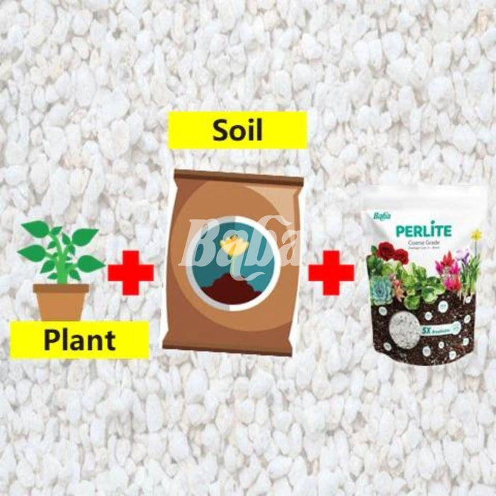 Baba Perlite (3L)