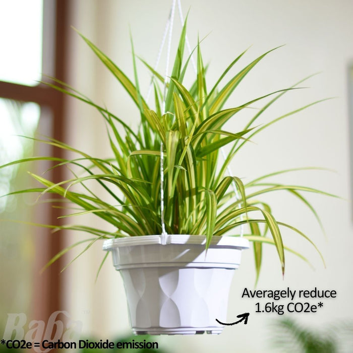 Baba Biodegradable SC Series Flower Pot【SC-220/ SC-260/ SC-310】
