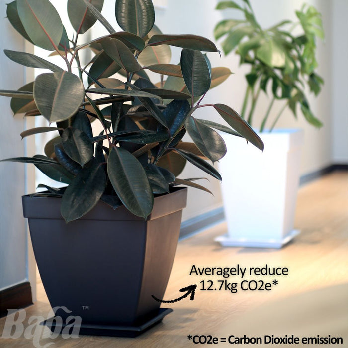 Baba St Helen Biodegradable Flower Pot【BI-SP-350】