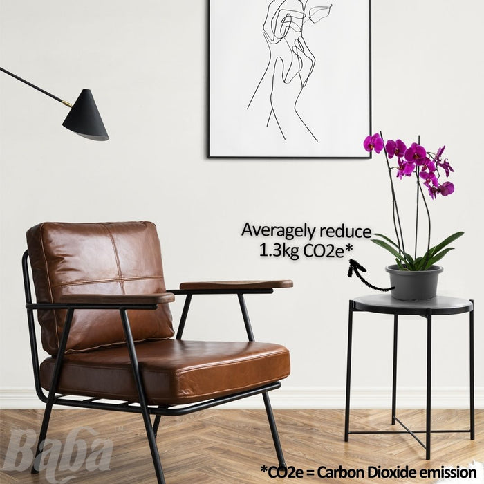 3pcs Baba Orchid Flower Pot【WY-OC-185/ WY-OC-200】