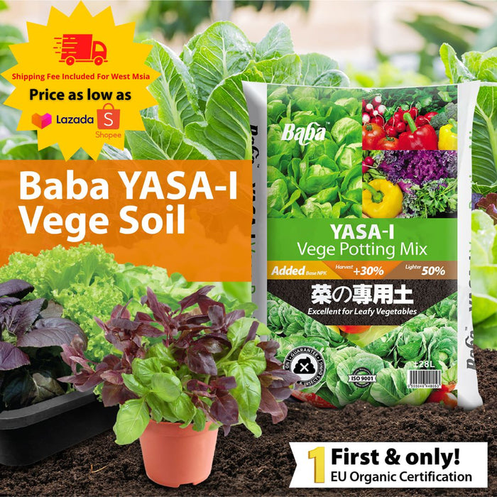 Baba Yasa-i Vege Soil