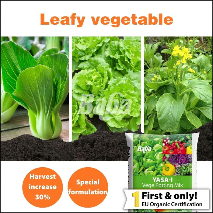 Baba Yasa-i Vege Soil