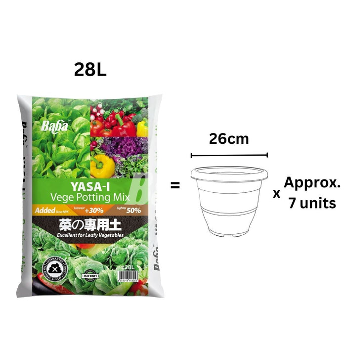 Baba Yasa-i Vege Soil