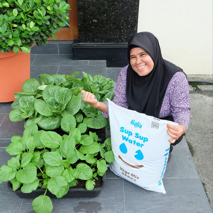 Baba Sup Sup Water Vege Mix - Package 2