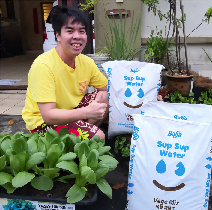 Baba Sup Sup Water Vege Mix - Package 2