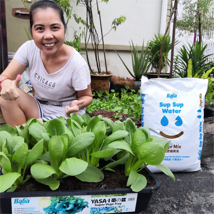 Baba Sup Sup Water Vege Mix - Package 2