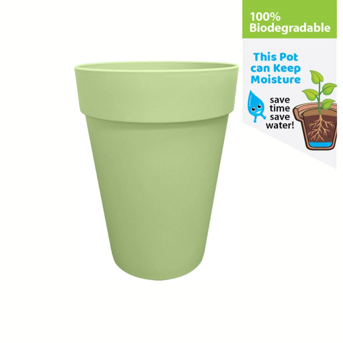 Baba Noble Series Decorative Pot【NB-150/ NB-280/ NB-340】