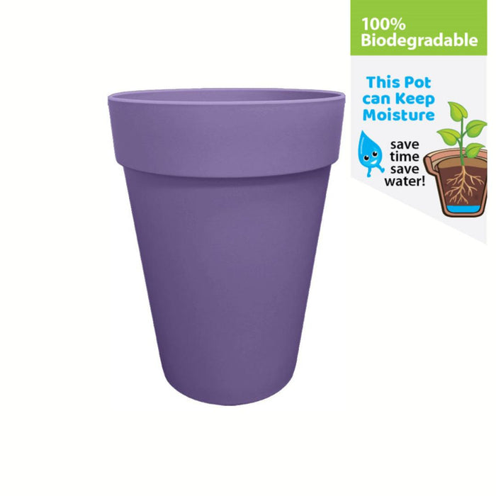 Baba Noble Series Decorative Pot【NB-150/ NB-280/ NB-340】