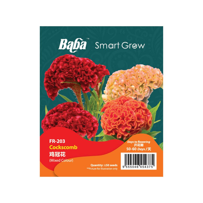 Baba Smart Grow Seed: FR-203 Cockscomb