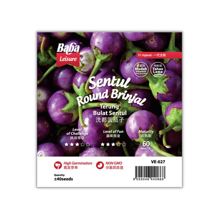 Baba Smart Grow Seed: VE-027 F1 Sentul Round Brinjal