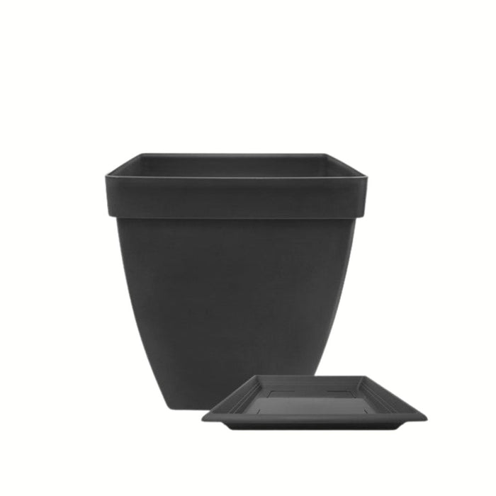 Baba St Helen Biodegradable Flower Pot【BI-SP-350】
