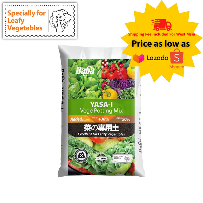 Baba Yasa-i Vege Soil