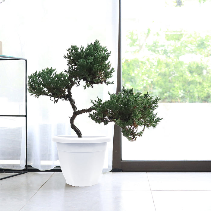 Baba Biodegradable Flower Pot【OT-260/ OT-310/ OT-392】