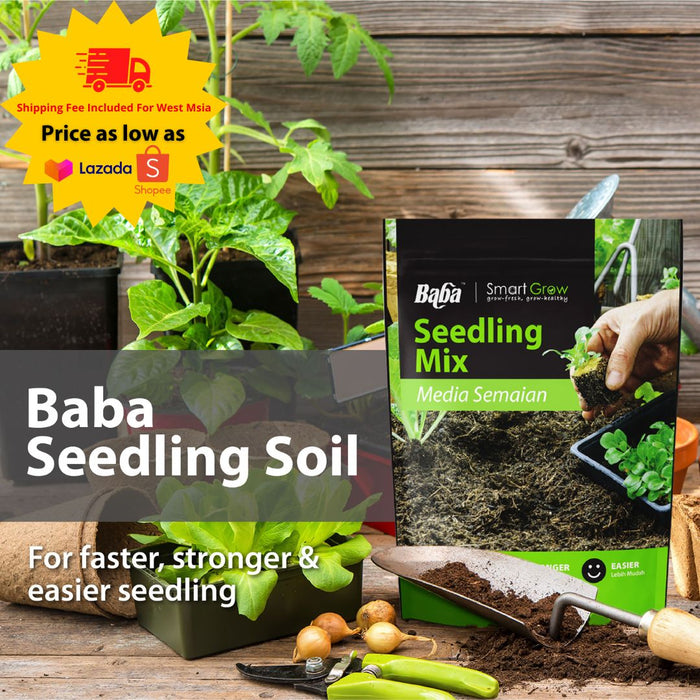 Baba Seedling Soil (3L)