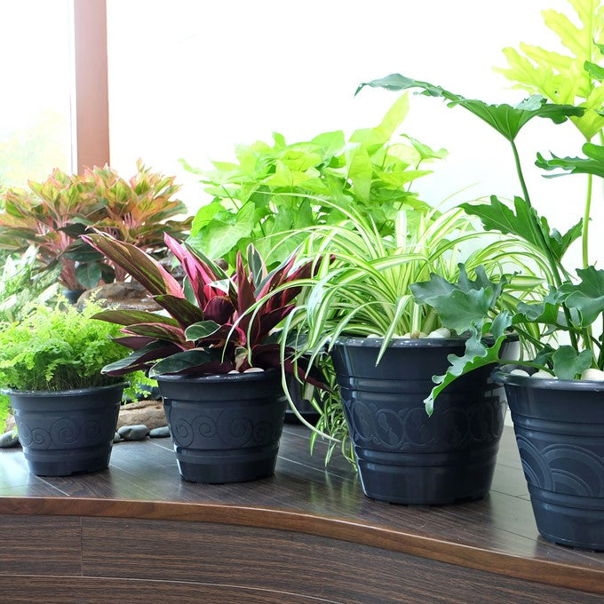 Baba TN Series Flower Pot【TN-3467-A/ TN-3468-B/ TN-3469-B/ TN-3470-A/ TN-3471-A】