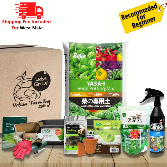 Urban Farming Package - Leafy Vegetables