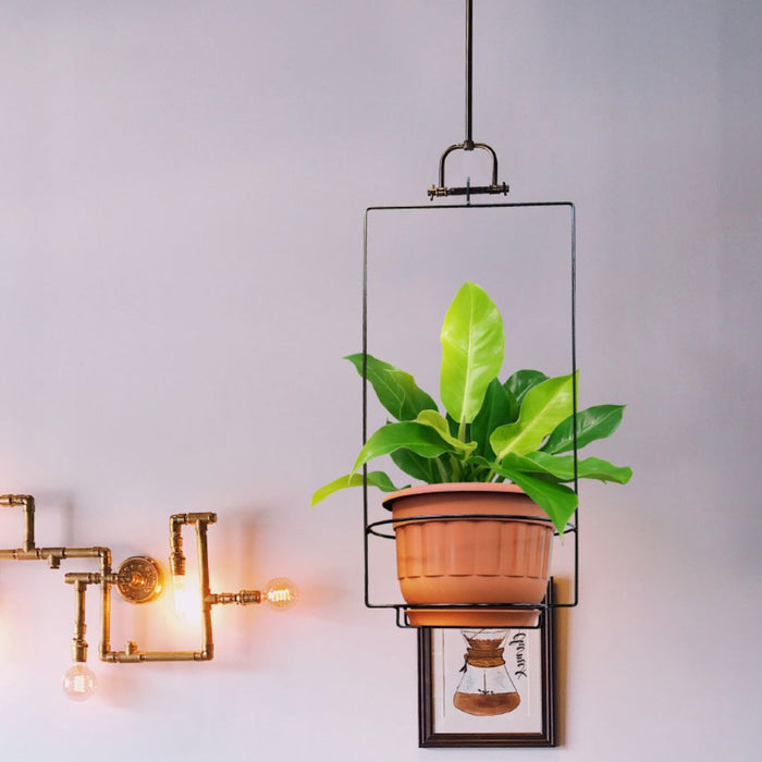 WH - 45 Iron Hanging Basket