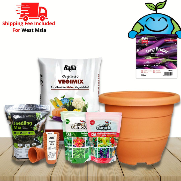 Planting Package - Long Brinjal