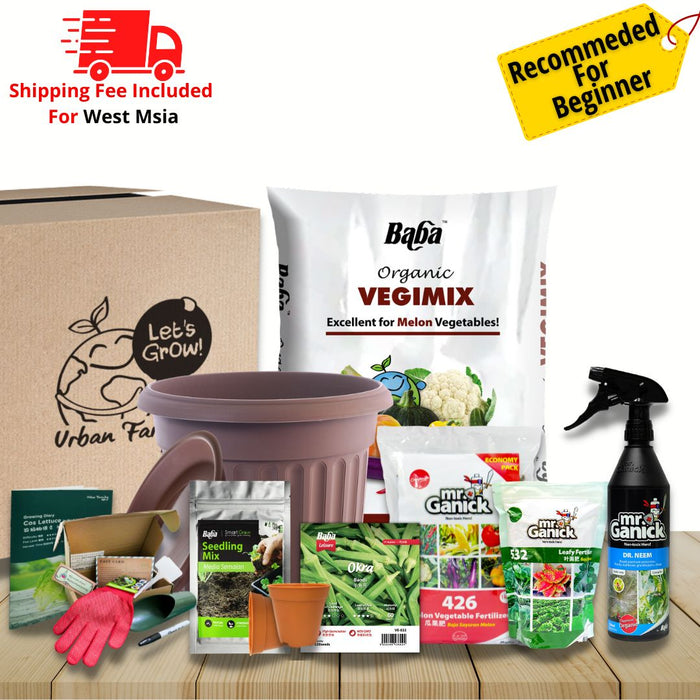 Urban Farming Package - Okra