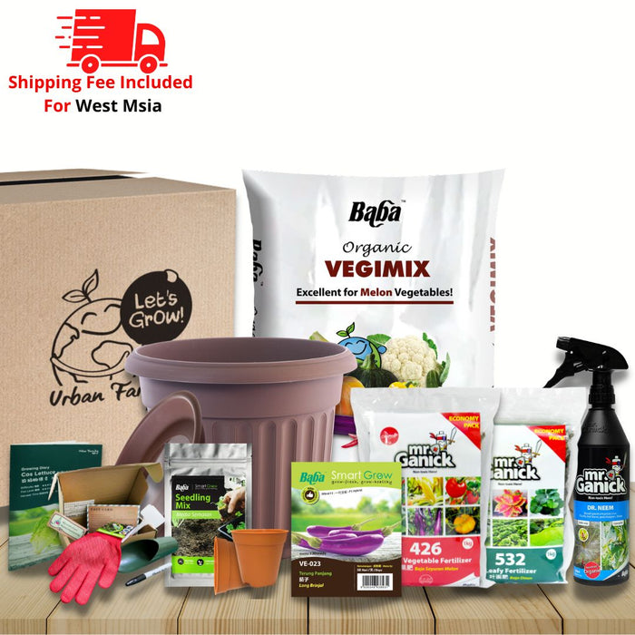 Urban Farming Package - Long Brinjal