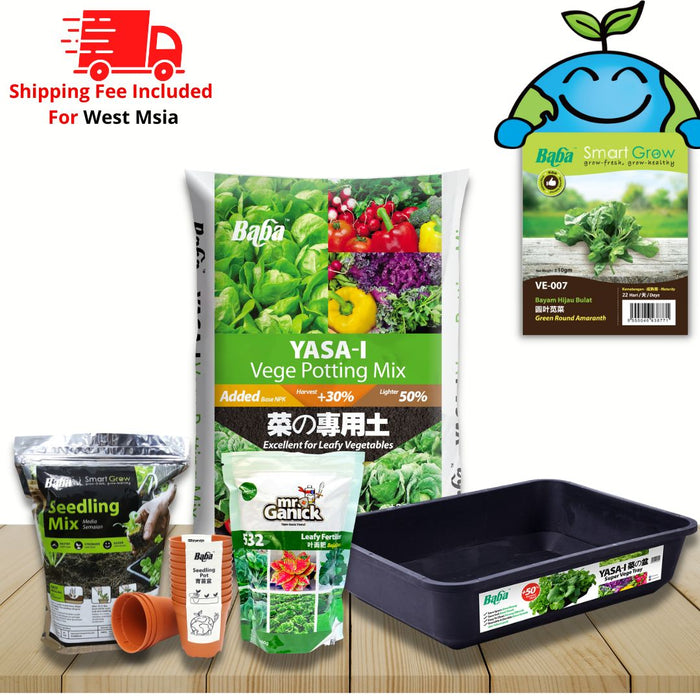 Planting Package - Green Round Amaranth