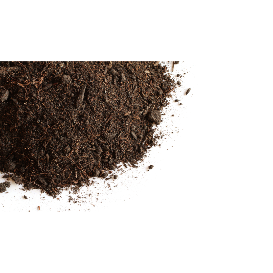 5 Tips To Choose Suitable Soil