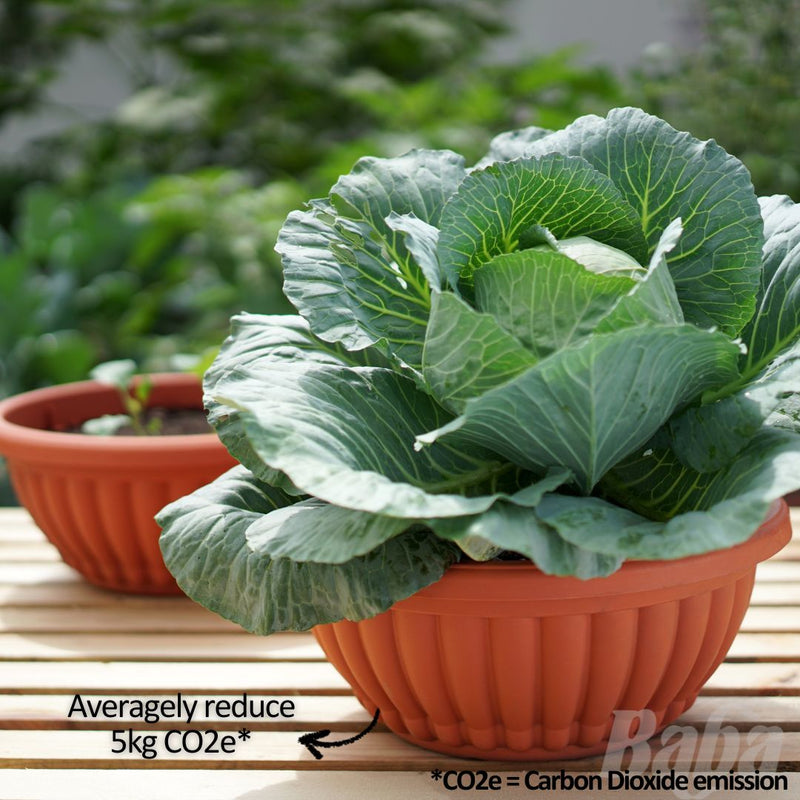 Baba【BI-206】Flower Pot