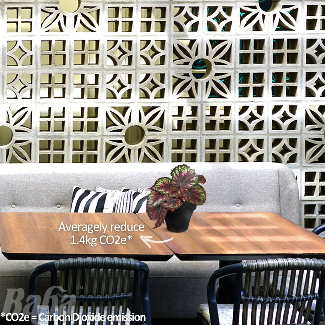 Flower Pot - Table Top