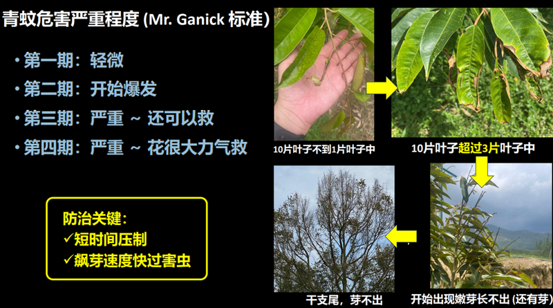[PRE-ORDER] Farmer Pack- Mr Ganick Ultimite Concentrate (1L/ 4L)