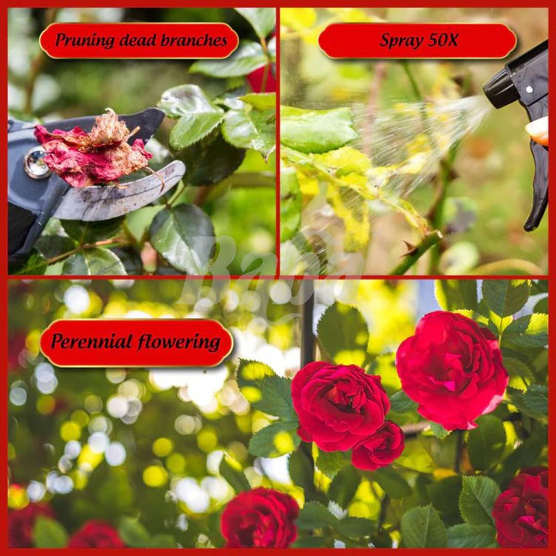 Mr Ganick 50X Flowering Fertilizer Ready To Use (500ML)