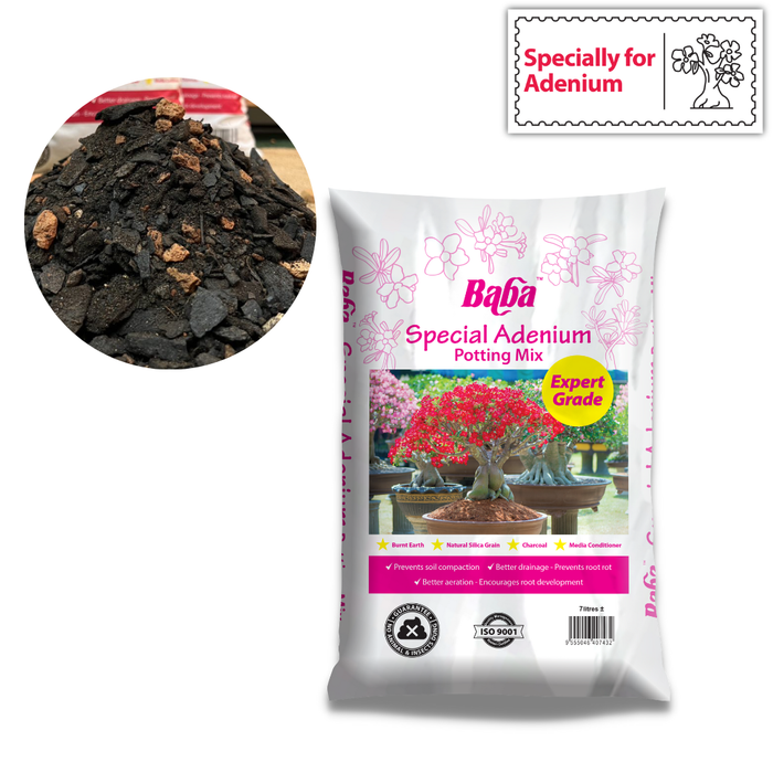adenium potting mix Baba Special Adenium Potting Mix (7L) — Baba E Shop