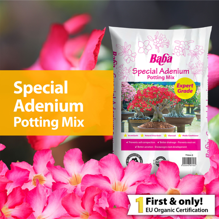 potting mix for adenium Baba Special Adenium Potting Mix (7L) — Baba E Shop
