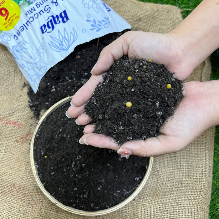 baba cacti & succulent potting mix Baba Cacti & Succulent Potting Mix (7L) — Baba E Shop