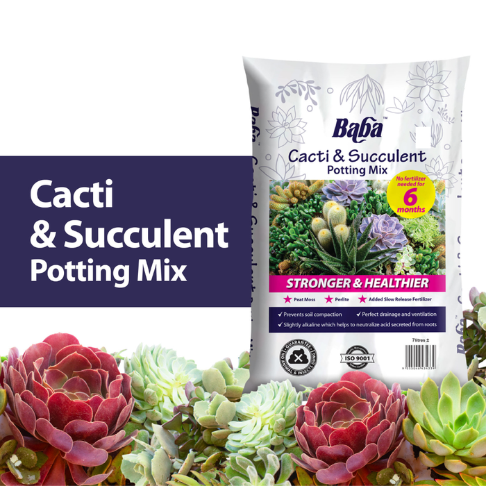 Baba Cacti & Succulent Potting Mix (7L)