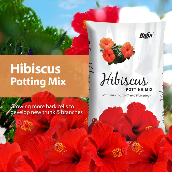 potting mix for hibiscus plants Baba Hibiscus Potting Mix (7L) — Baba E Shop