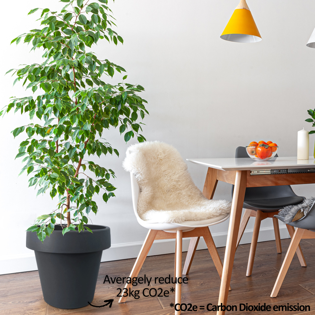 Baba MJ Series Flower Pot【MJ-400/ MJ-500/ MJ-600】 — Baba E Shop