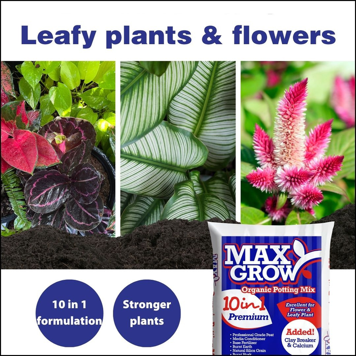 Baba Max Grow Organic Planting Soil (28L)