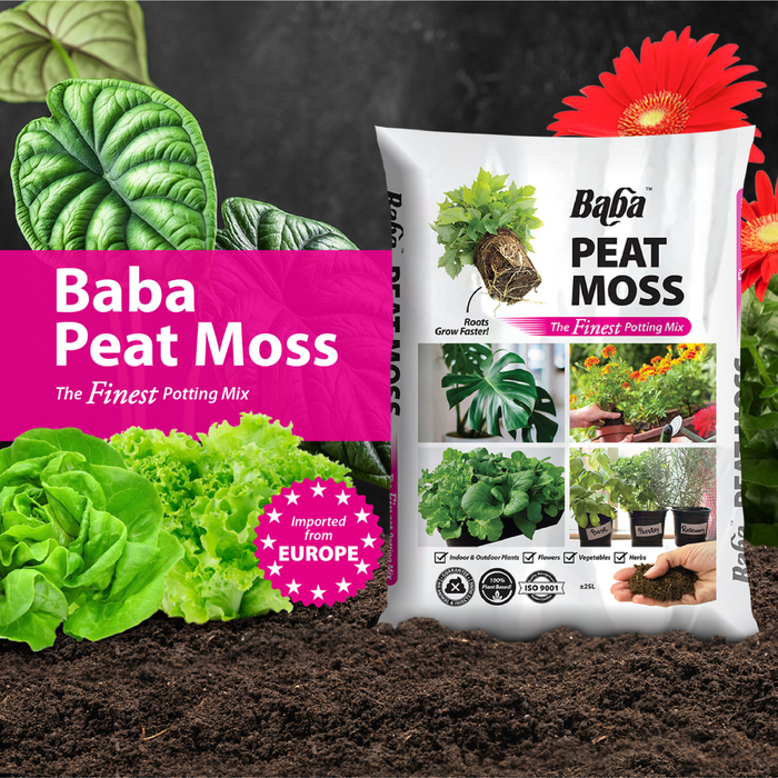 Baba Peat Moss