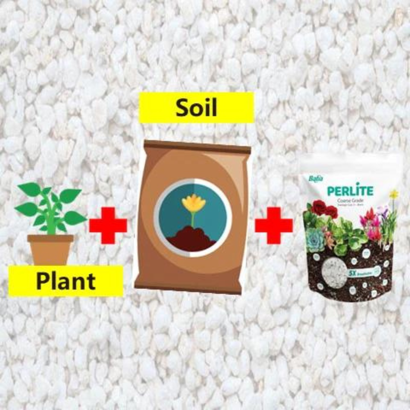 Illustration of soil, plant, and perlite